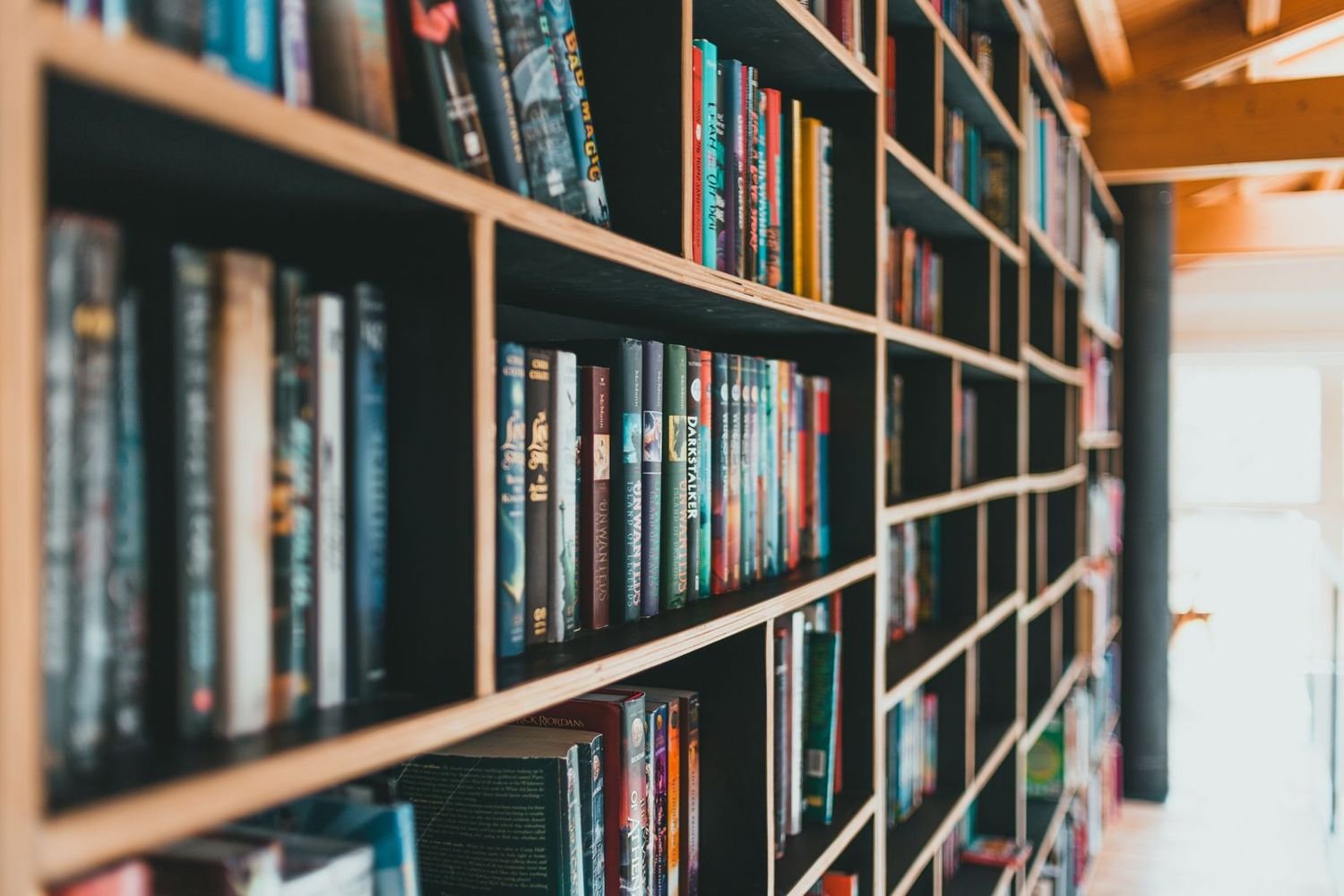 Shelves of books in a bright library