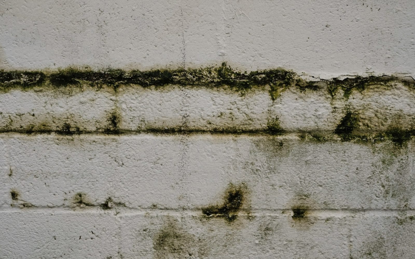 Damp corner of a window frame showing condensation and mould risk
