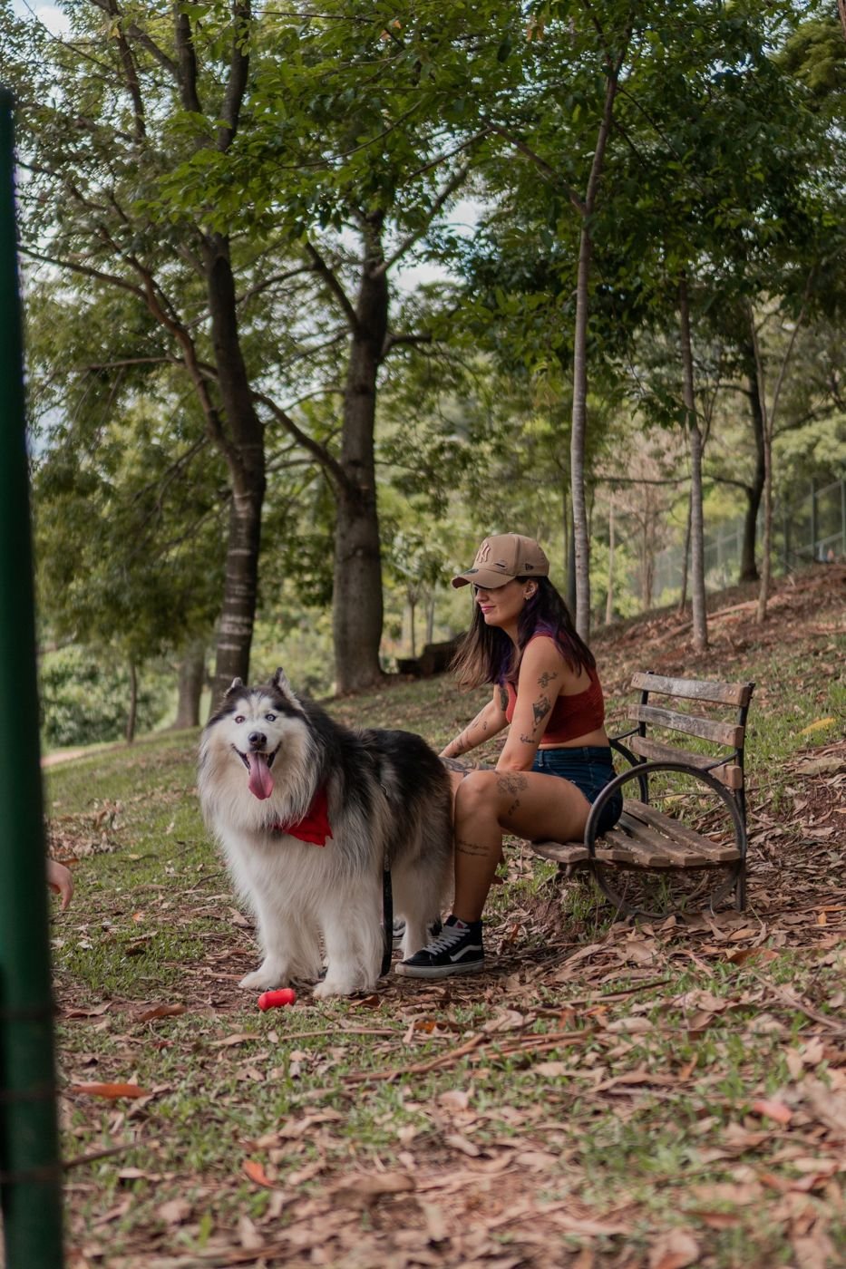 What to Know Before Getting a Dog
