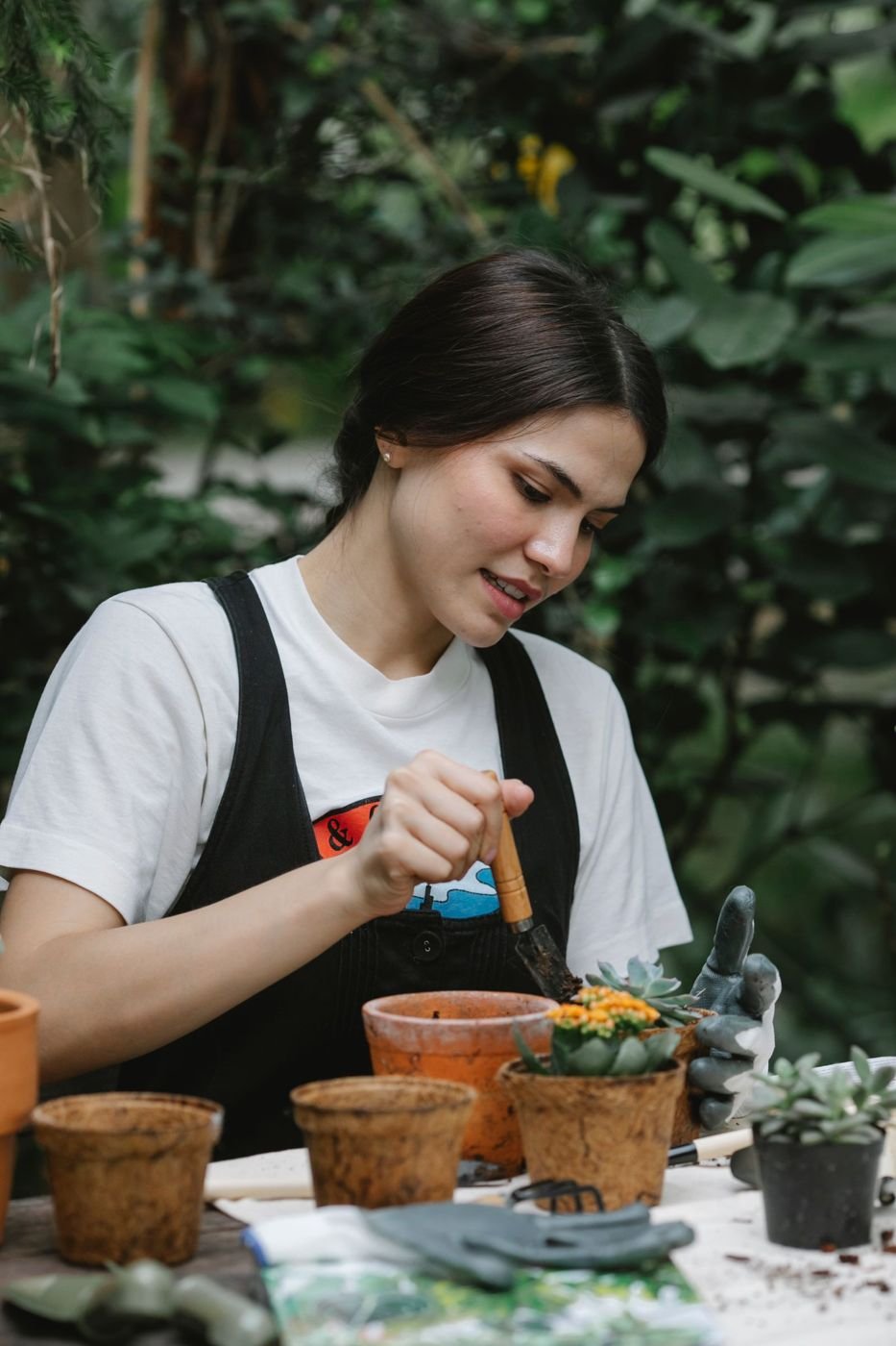 A Beginner’s Guide to Growing Herbs on a Windowsill
