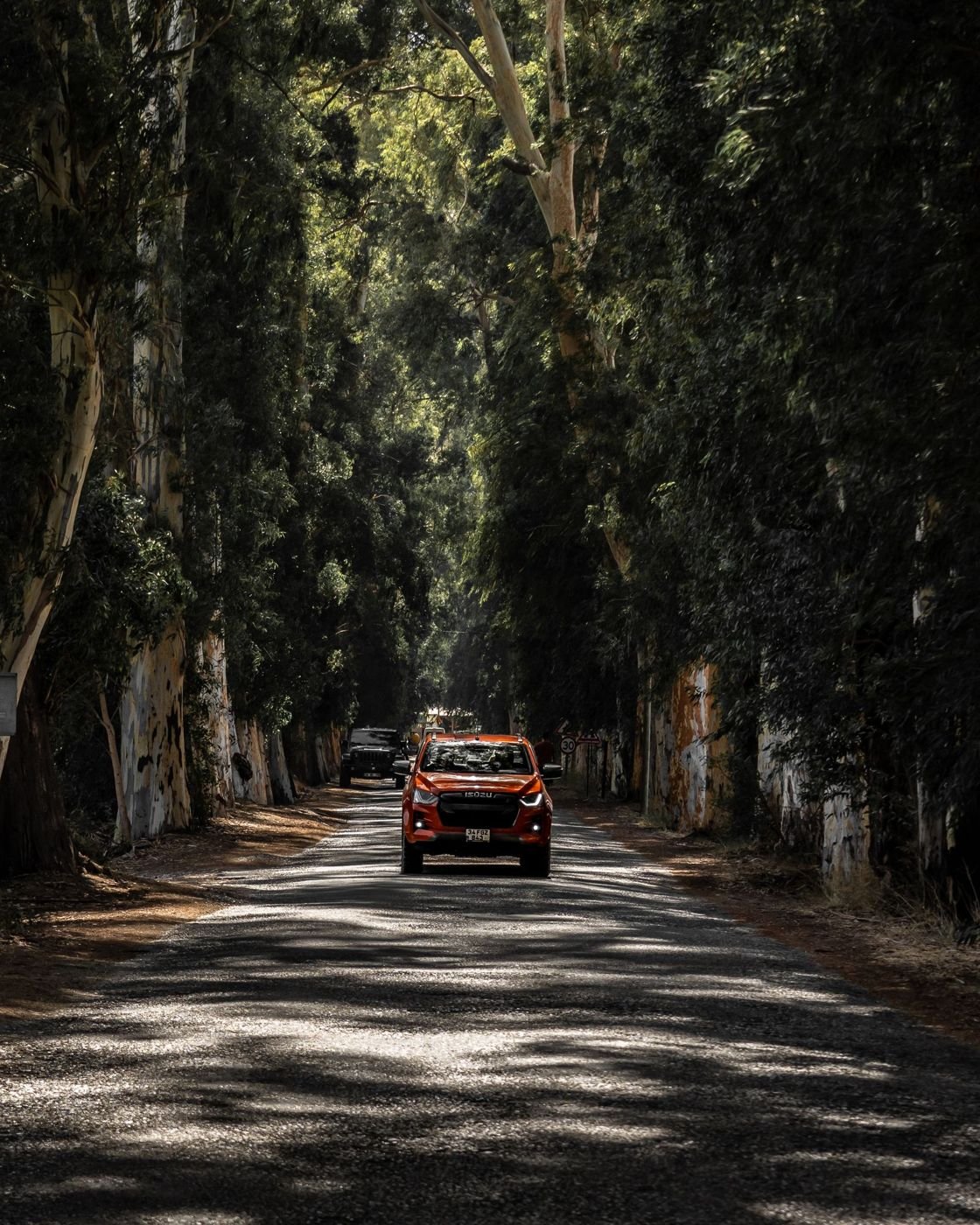 A red car driving along a tree-lined road