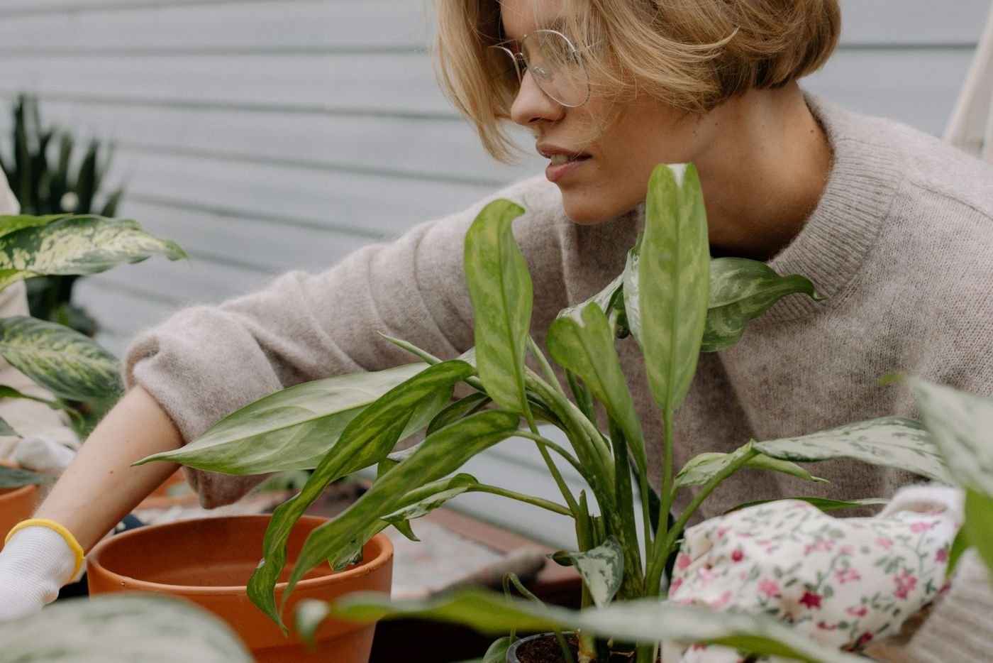 A woman tending to leafy houseplants