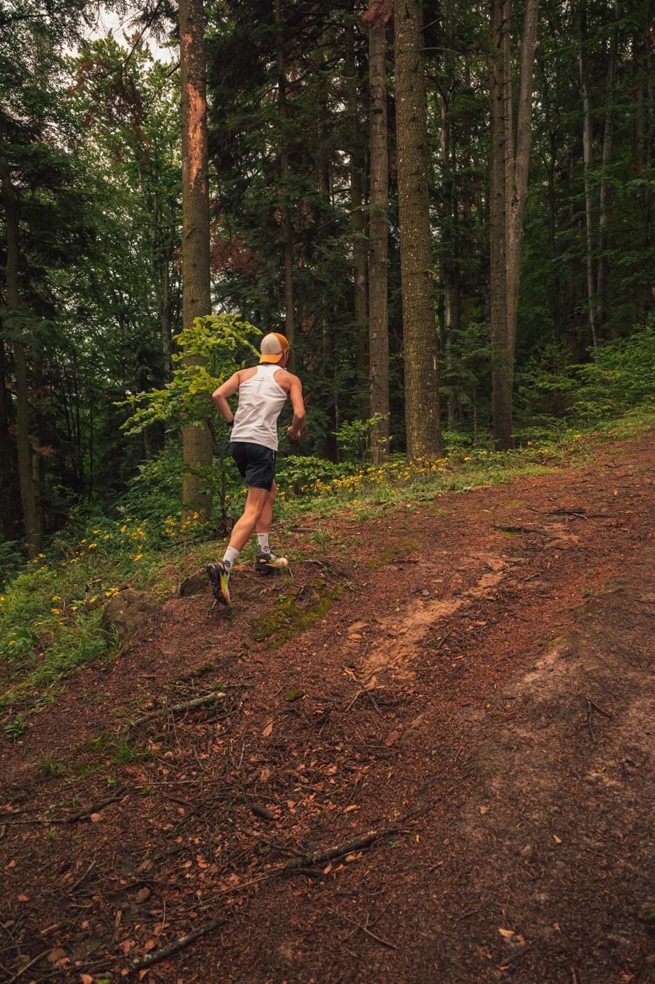 A runner on a dirt trail through a forest
